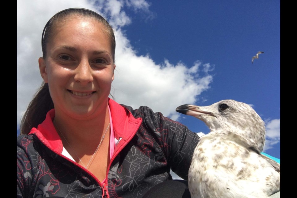 Alliston's Alena Brown with the rescued seagull in Bradford. Submitted.