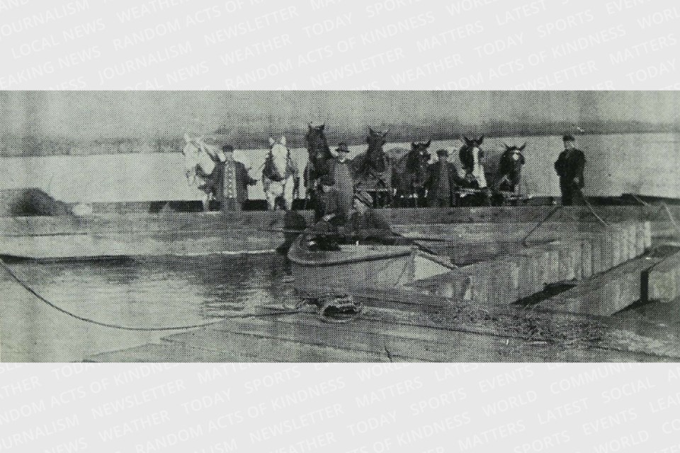 Men and their horses board a barge to head into the Holland Marsh to cut marsh hay, which was found to be ideal for packing crates and stuffing mattresses.