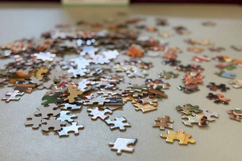 A puzzle swap was held recently at the Danube Seniors Leisure Centre.