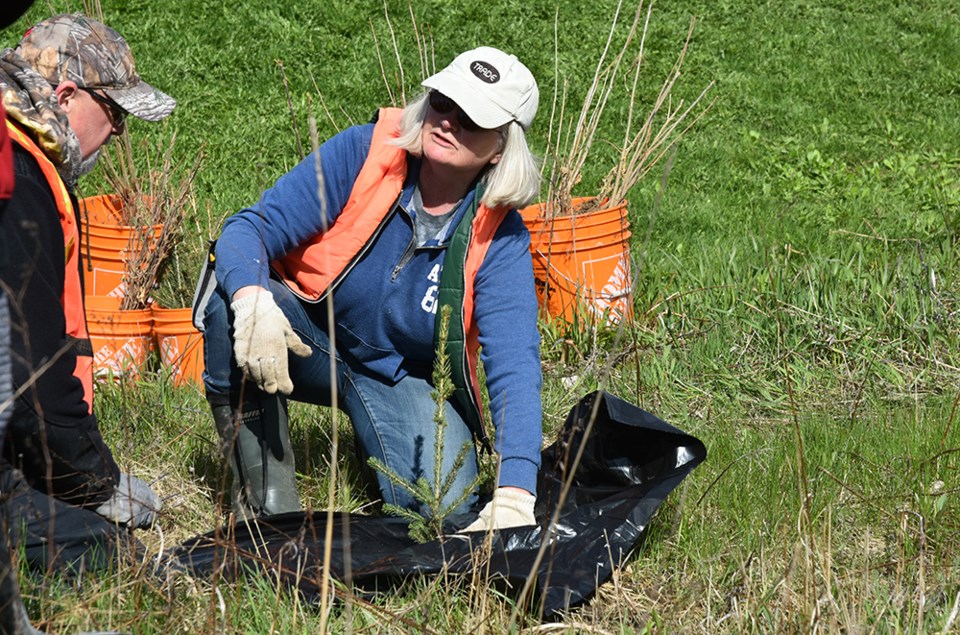 2019-05-11Tree-PlantingBradMK-04