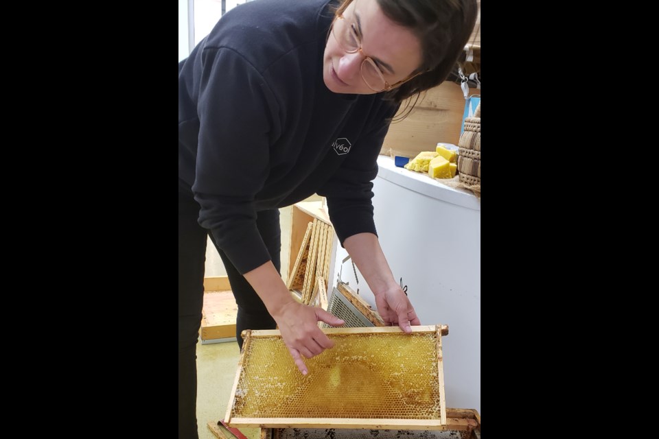 Glenda Jones, an experienced urban beekeeper, who tends the hives at Tanger Outlet Mall in Cookstown, demonstrates how honey is formed and harvested inside a hive Saturday.