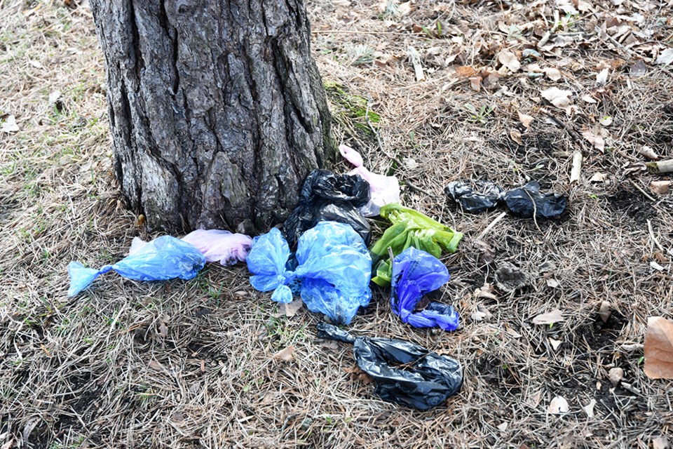 Dog owners using an area trail have piled up bags of dog poop under a tree. City council will consider creating dog waste parks in city trails to help alleviate the issue.File Photo