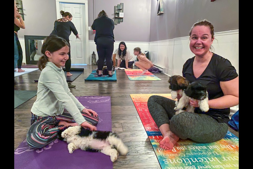 Puppy yoga and 'kyosei': Building colleague relationships in