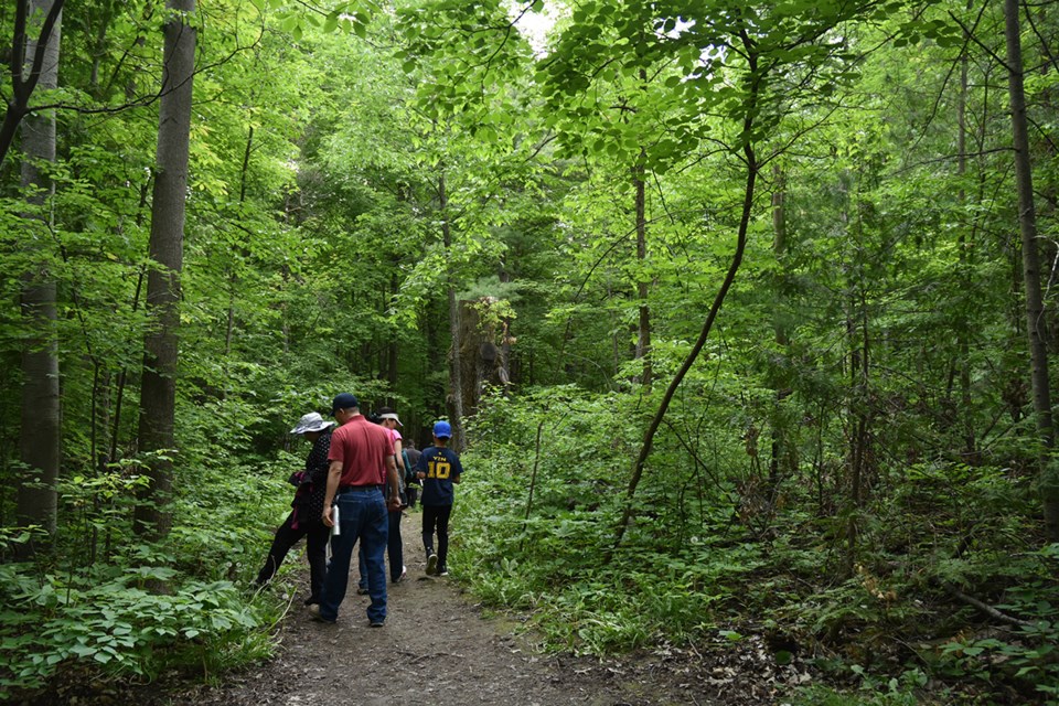 Heading into the woods. Miriam King/Bradford Today