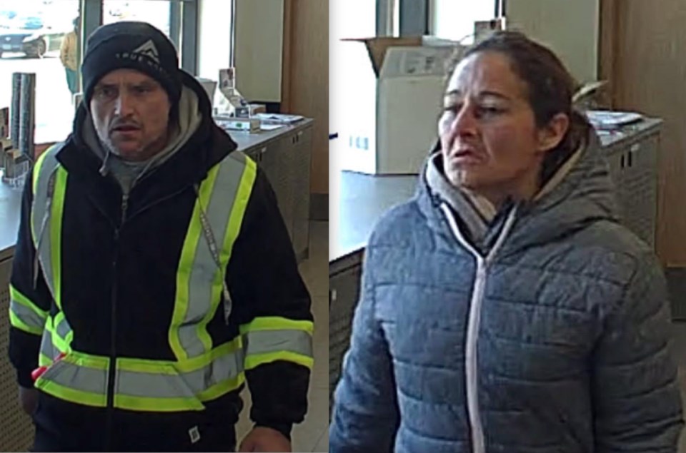 20241116-alliston-lcbo-theft-suspects