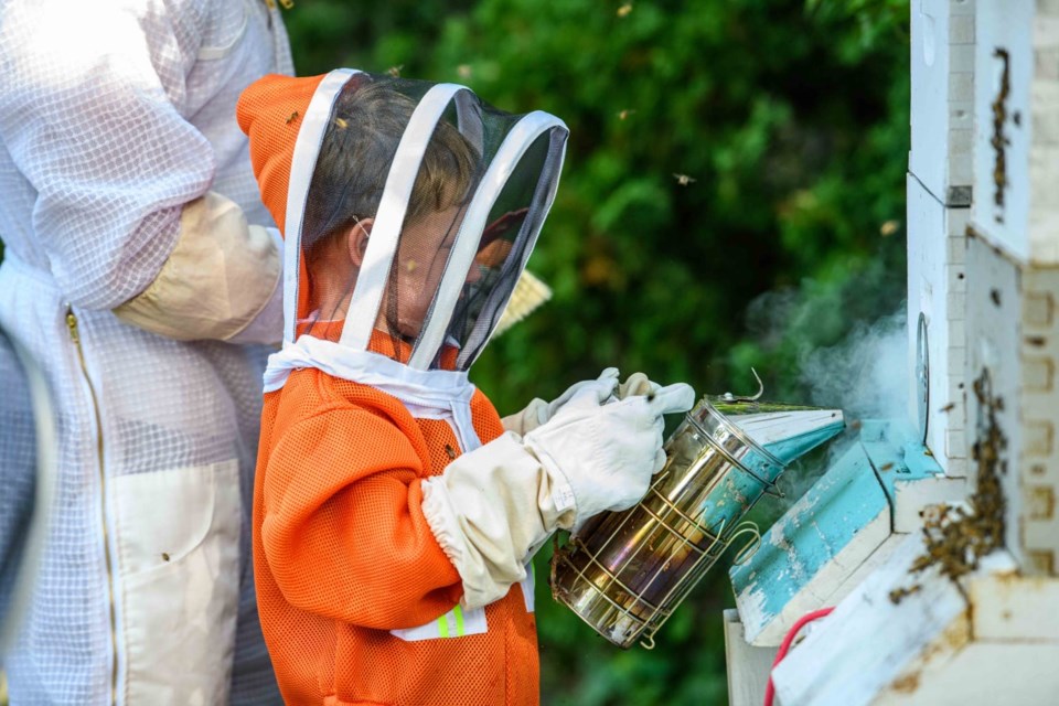 Cities such as Winnipeg, Saskatoon, Calgary and Vancouver have altered bylaws to allow urban beekeeping.