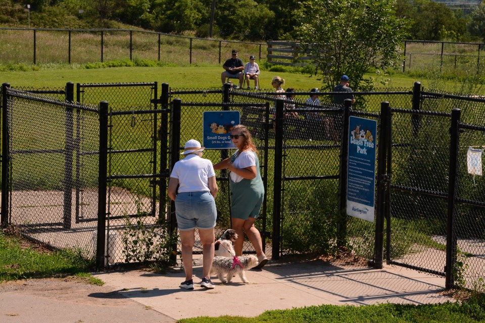 Gallery: All the top dogs were out at Bayview Park - Burlington News