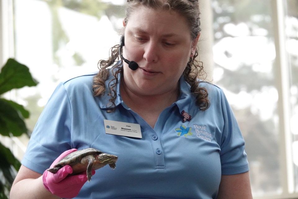 GALLERY: Nature's superheroes delight Burlington families at RBG ...