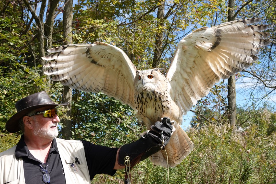 Philip Decina with Venus, a Siberian eagle owl, who has 500 PSI talons - not an absolute fact, but you can imagine the strength. The average for raptors is 750-1000 PSI.