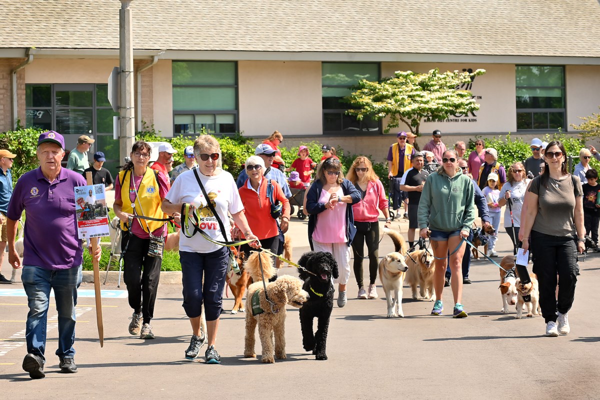 Walk for Guide Dogs draws big crowd, impressive fundraising by highest ...