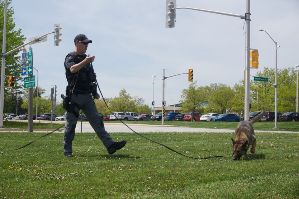 haltonpoliceday14