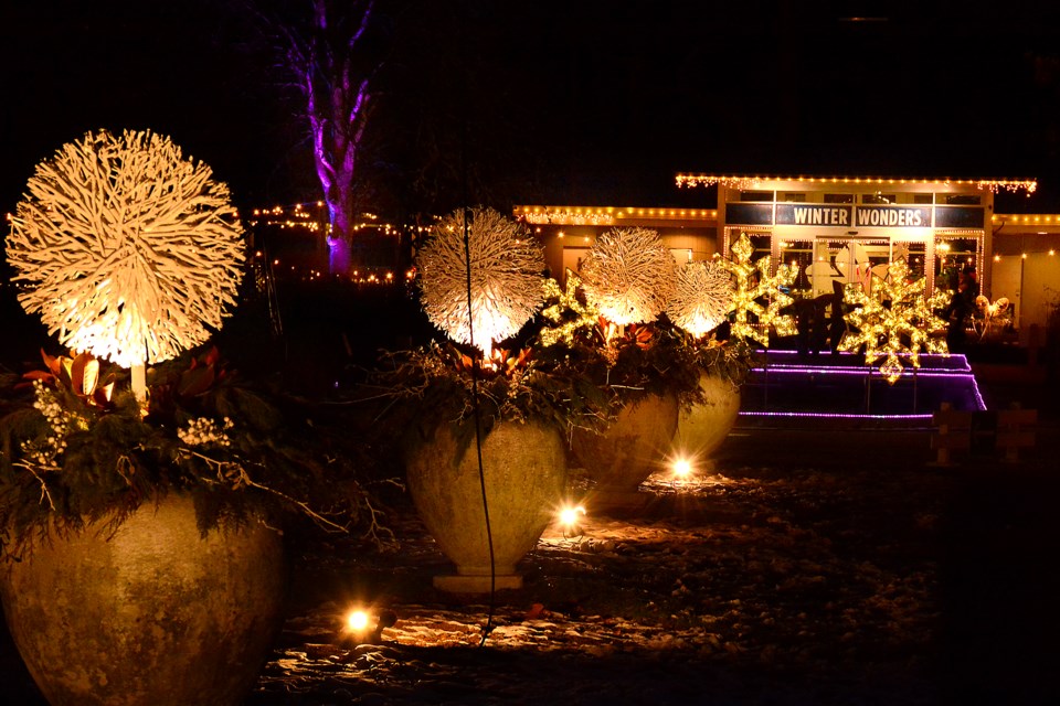 Attendees can explore the gardens with warm food and drinks as they see the various light displays.