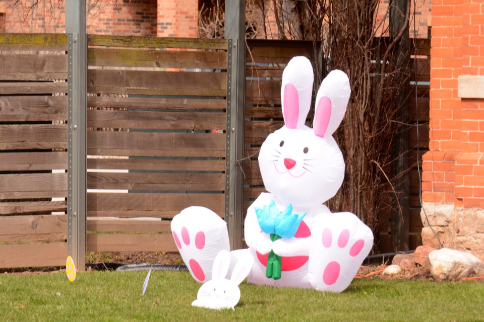 The Easter Bunny made a surprise appearance on Burlington Street this week.