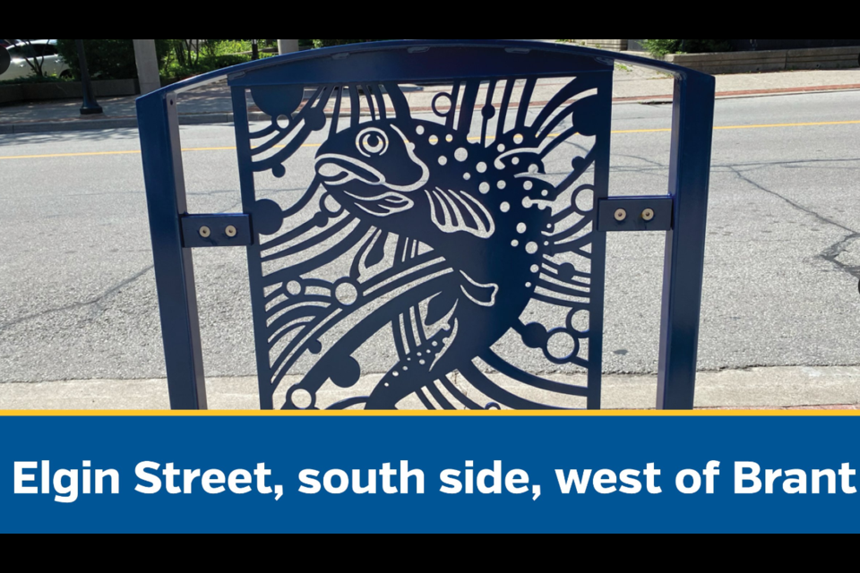 Elgin Street, south side, west of Brant - a new bike rack.