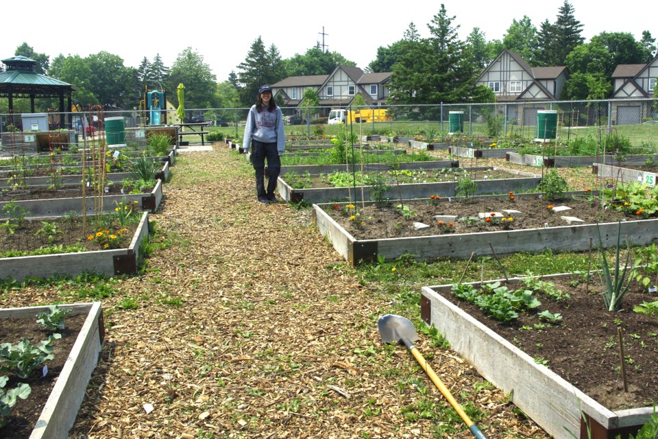 Community gardens could be added to the Crosstown Trail.