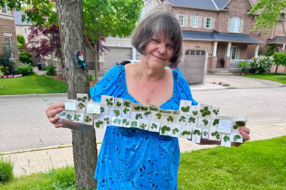 Ruth Moshonas with the four-leaf clovers she has collected in Burlington this spring.