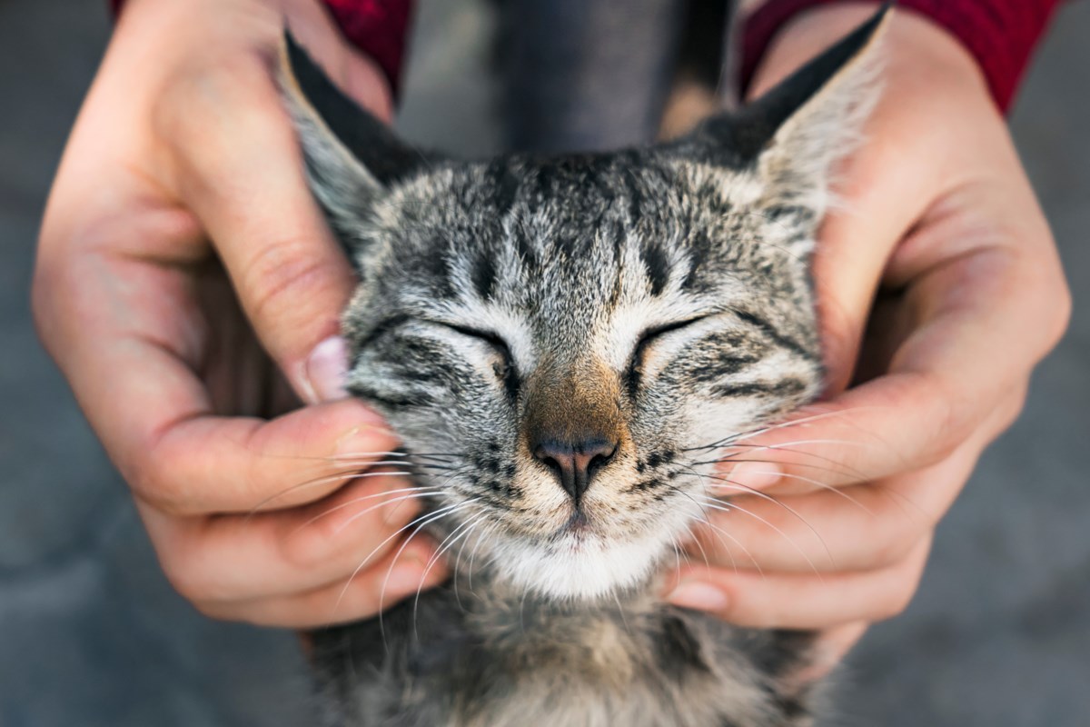 Family-owned pet grooming business puts the customer first