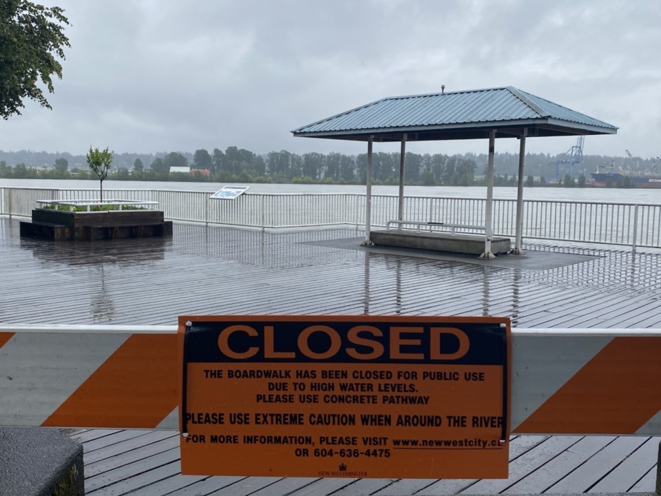 High Water - Fraser River - July 2020 file TM