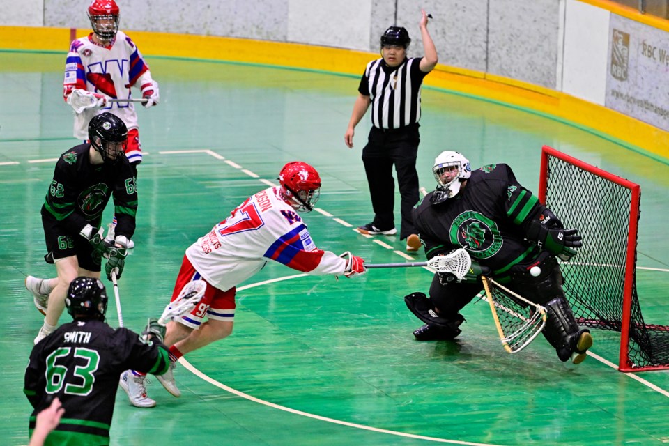 Salmonbellies 7 Haiden Dickson