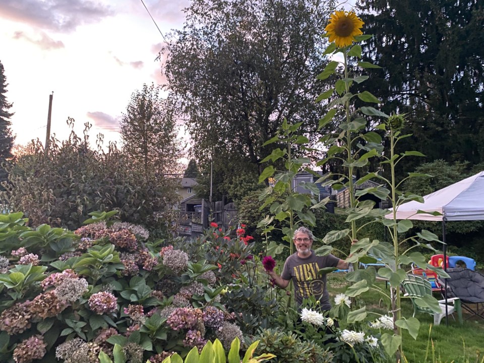 sunflowers-scott-loewen