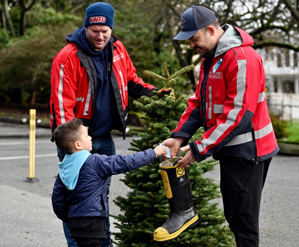 tree-chipping-2024-jg