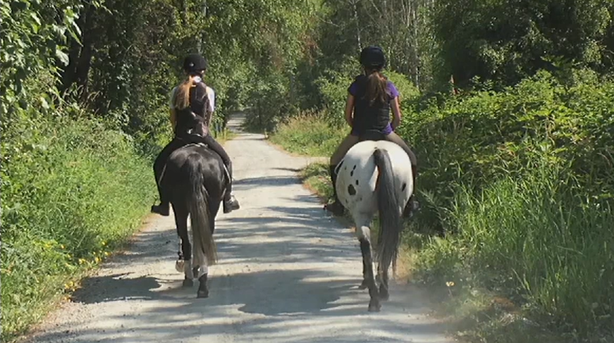 Horseback riders in Burnaby are hoping gravel trails in Burnaby Park don't get paved over.