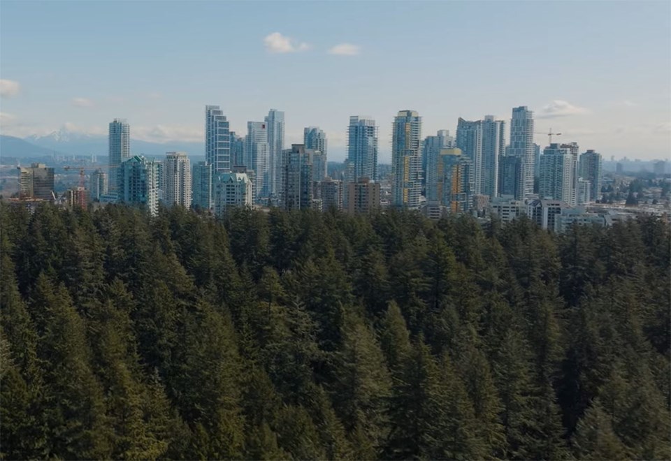 Burnaby seeks input on urban forest strategy - Burnaby Now