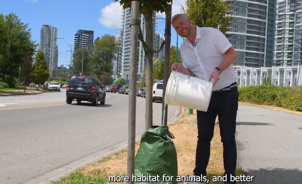 tree-watering-bags-burnaby