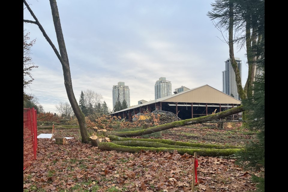 Burnaby is redeveloping Cameron Community Centre and Library, which also means 166 trees will be cut down. 