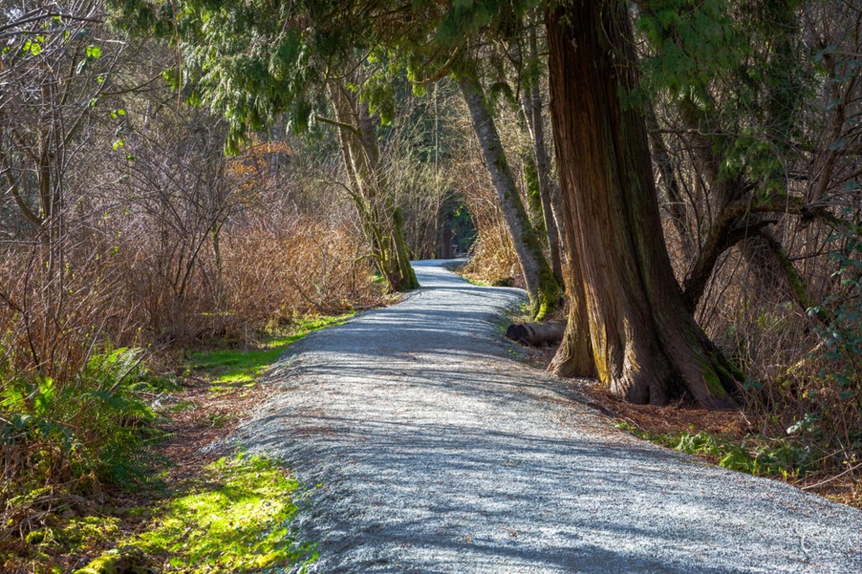 springatburnabylake