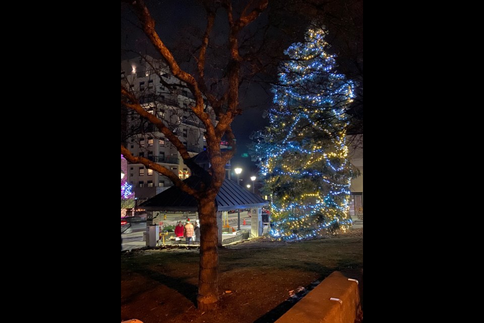 The tree is lit in Hespeler Village on Friday night. 