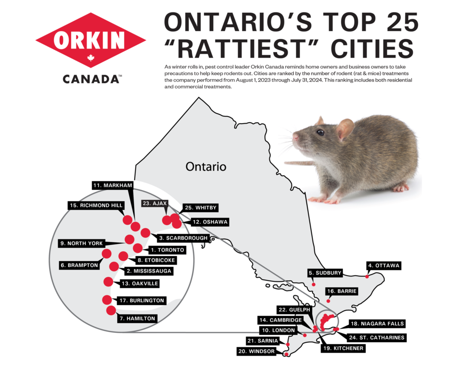 20241030rattiestcitiesmb