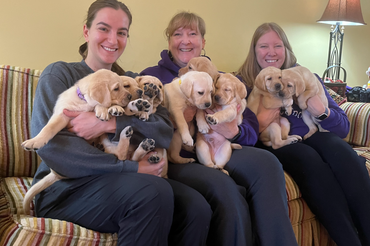 Local puppies ready to take next step in becoming future service dogs