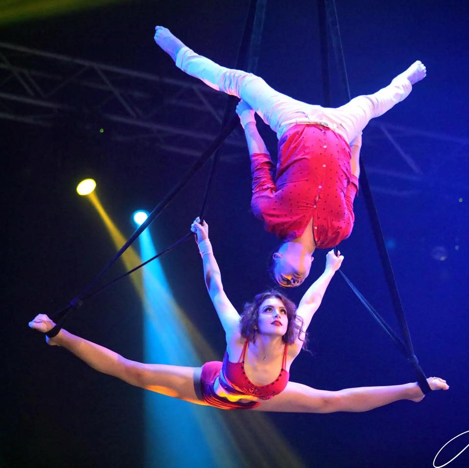 'One-of-a-kind water circus' is coming to Cambridge next month ...