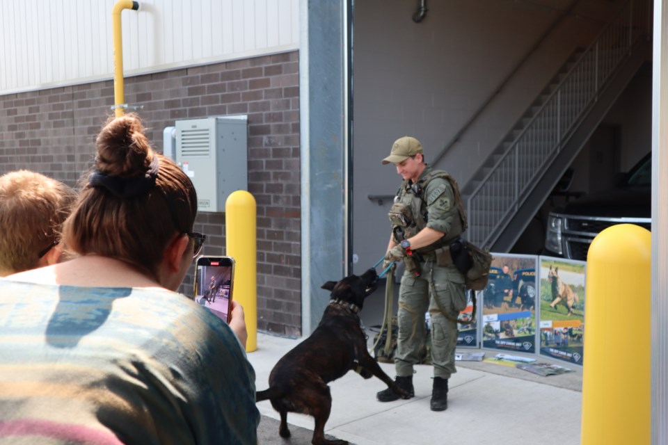 A mother gets a video of OPP canine Teddy 