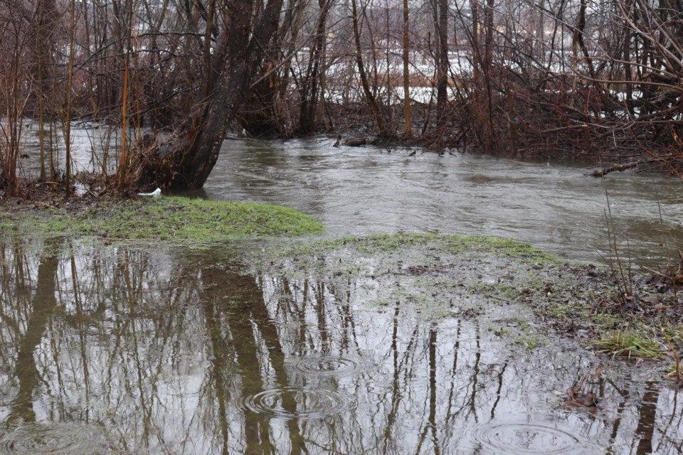 Water from creek comes over the bank at Soper Park in Cambridge. 