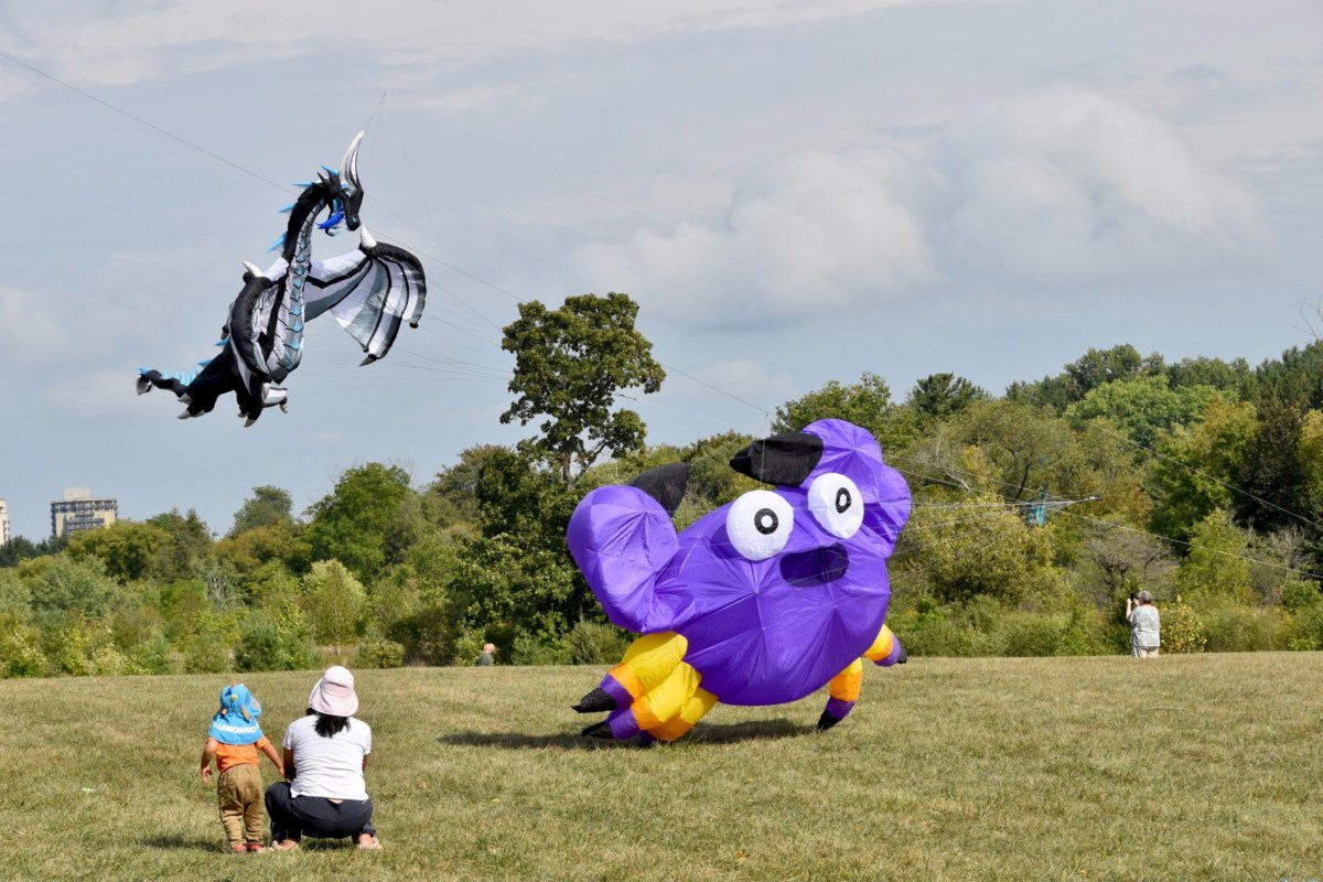 Annual Dumfries Kitefest set to fly over Cambridge this weekend ...