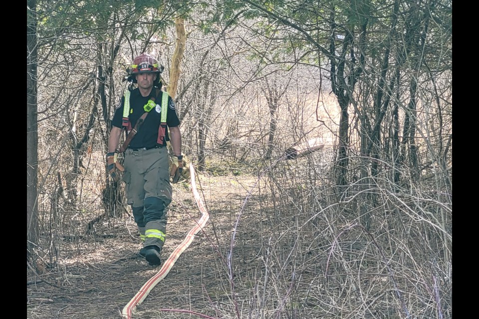 A firefighter exists the woods near the Mill Run Trail crossover at Speedsville Road Friday.