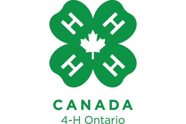 4-H Picture