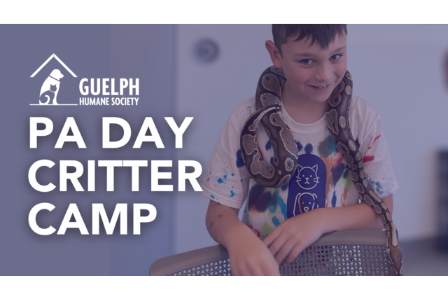 PA-Day-Camp-Website-Banner-1-1