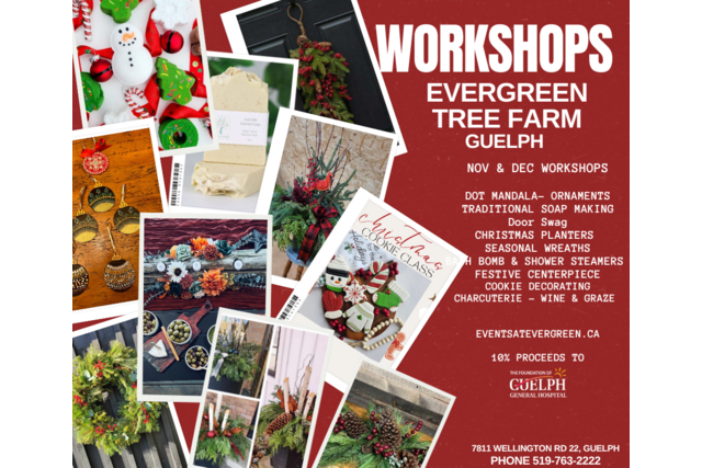 Nov and Dec Workshops 2024