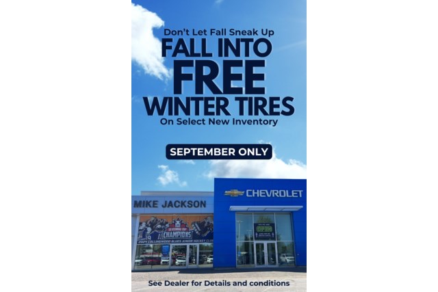 Free Winter Tires (3 x 5 in)