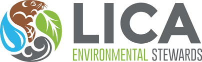 lica_logo