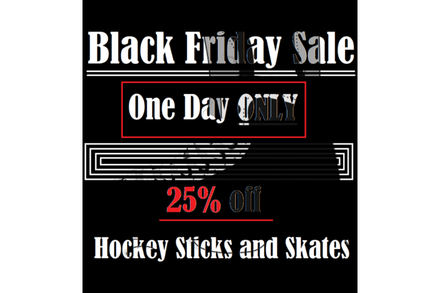 Black Friday Sale