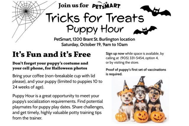 Tricks for Treats Puppy Hour2