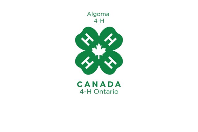 4-H Algoma Logo