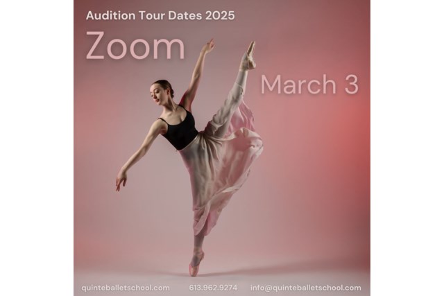 Virtual audition poster 2025