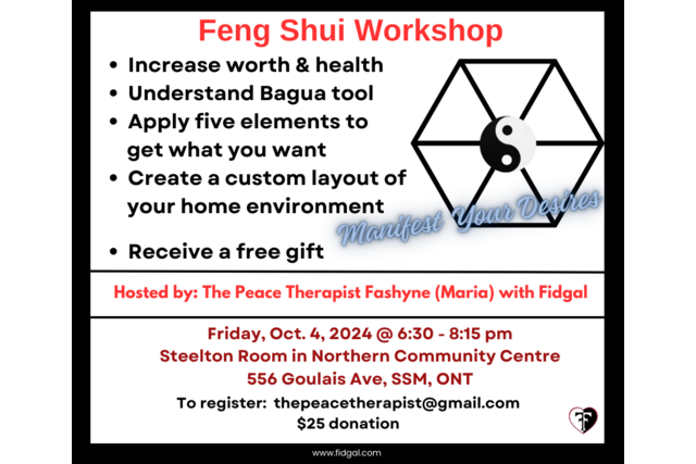 the peace therapist feng shi with Fidgal