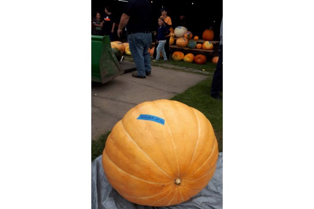 pumpkinfest8