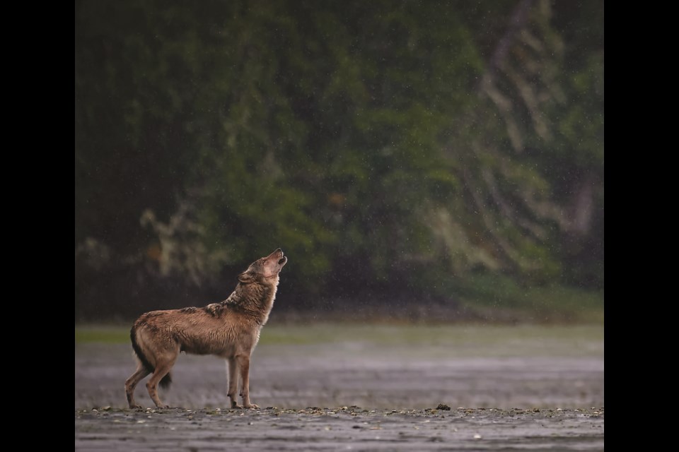 As Tom McPherson guides photographers and filmmakers to capture iconic images, he also ends up with enviable shots of his own.